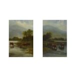 Pair of Scottish oils on board - Highland scenes with cattle