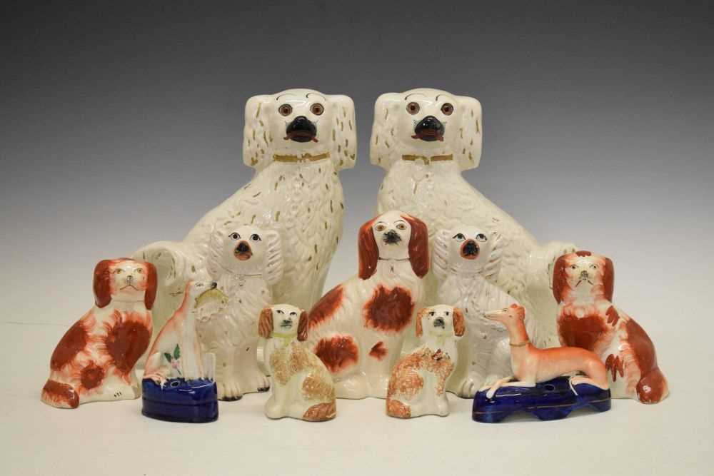 Group of Staffordshire dogs