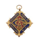 9ct gold and enamel decorated Oddfellows diamond form medal