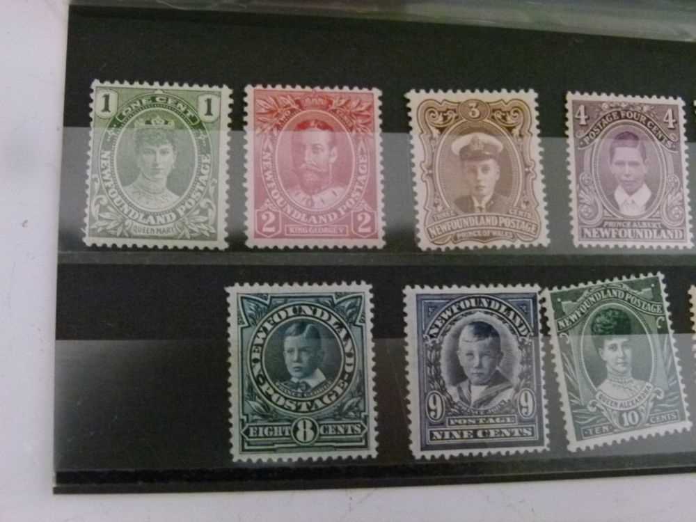 Newfoundland - 1911-16 1 cent to 15 cent and 1919 Caribou 1 cent to 36 cent mint postage stamp set - Image 3 of 8