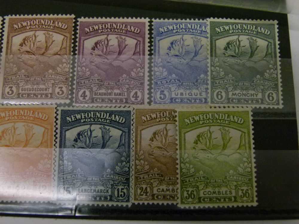 Newfoundland - 1911-16 1 cent to 15 cent and 1919 Caribou 1 cent to 36 cent mint postage stamp set - Image 2 of 8