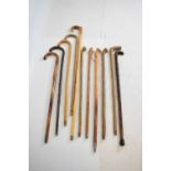 Eleven assorted walking sticks