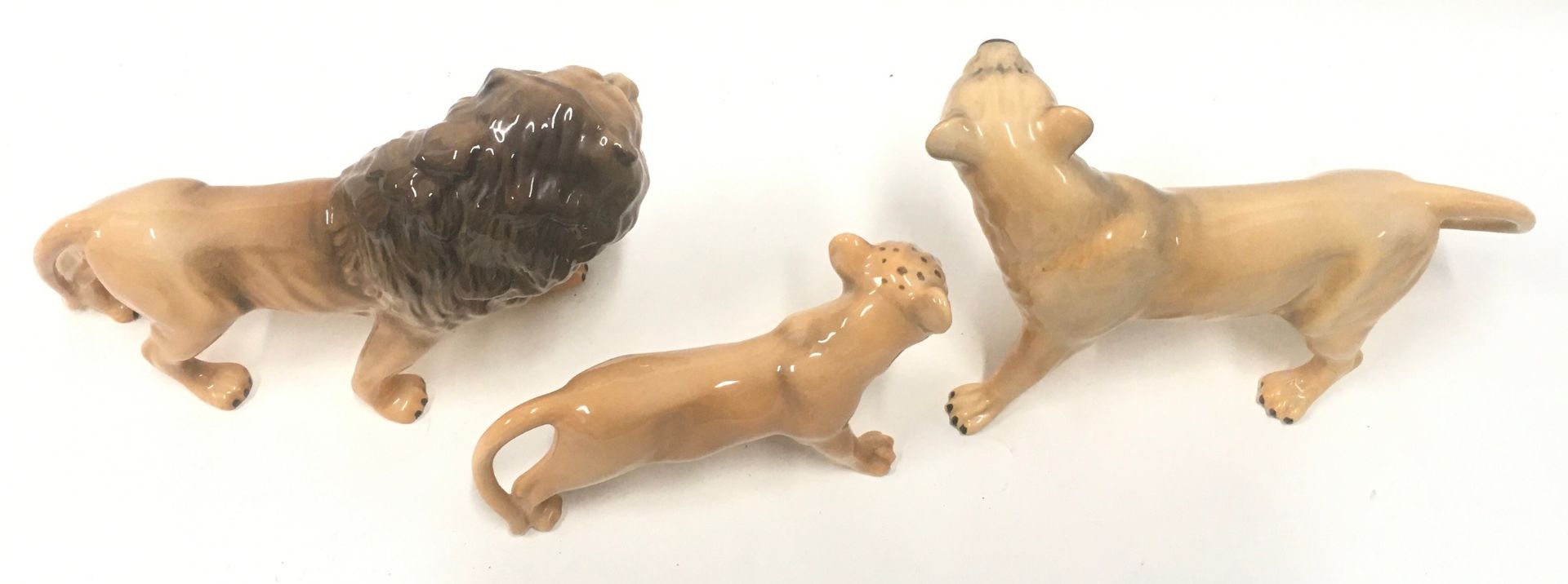 Beswick family of three lions the largest measuring 14x23x8cm. Overall in very good condition, no - Image 4 of 5