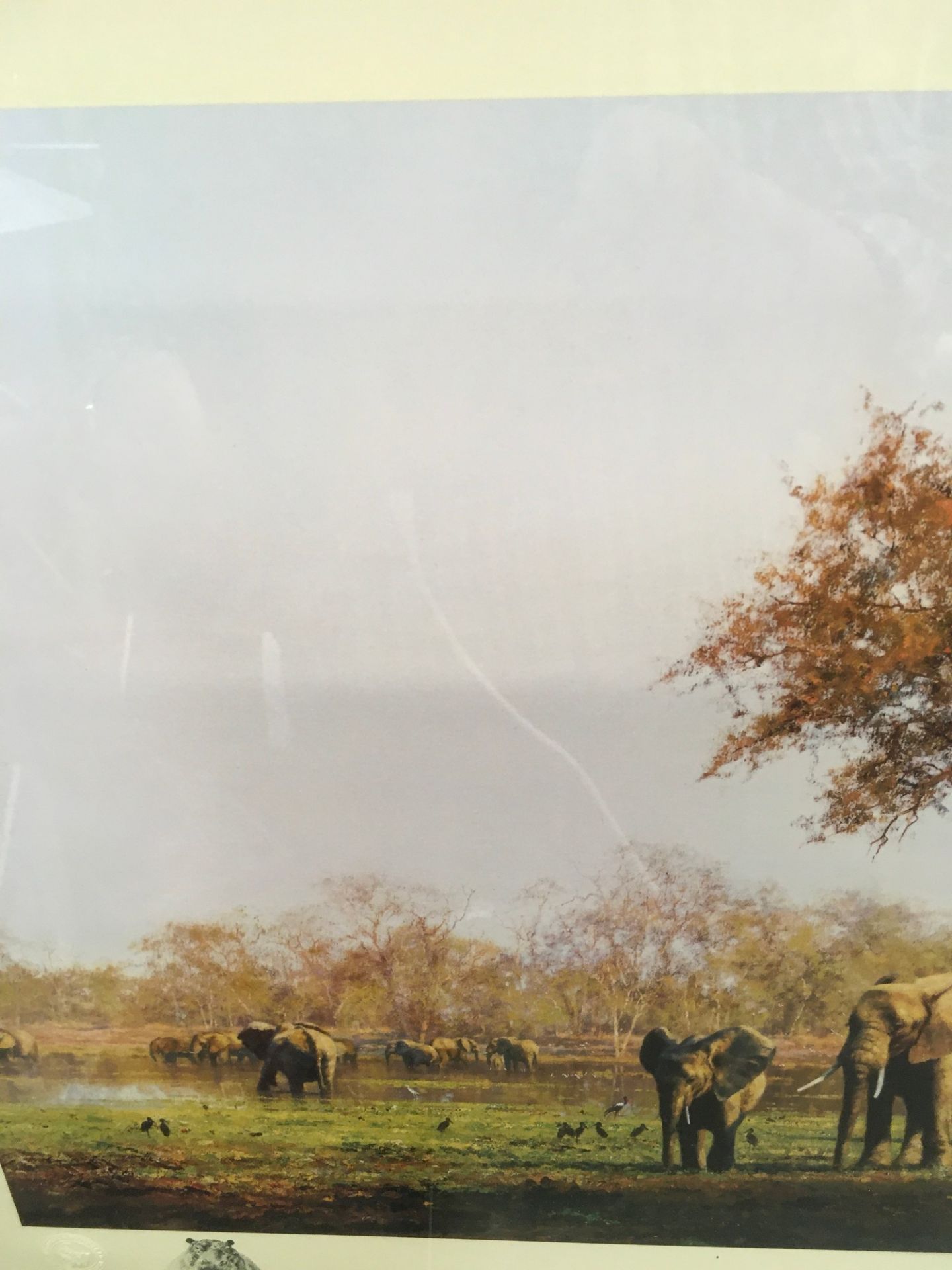 David Shepard ltd edition print "Luangwa Evening" signed to bottom no 1235/1500 with intented - Image 6 of 8