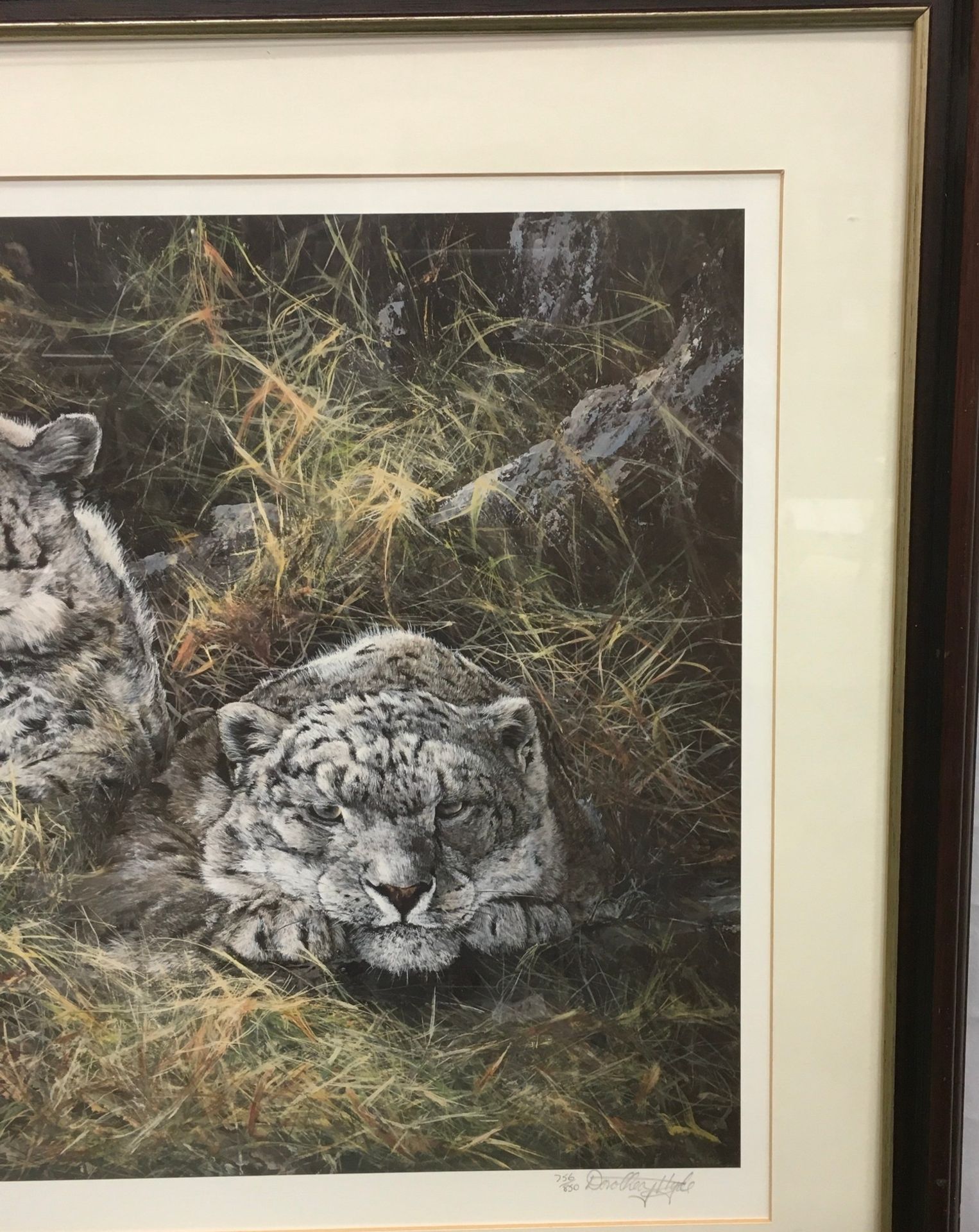 Dorothea Hyde ltd edition print "Watchful Leopards" &56/850 signed to bottom right with indented - Image 3 of 7