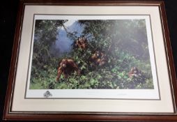 David Shepherd "Men of the Woods - Orang-Utans" embossed stamp Limited Edition 414/950, framed