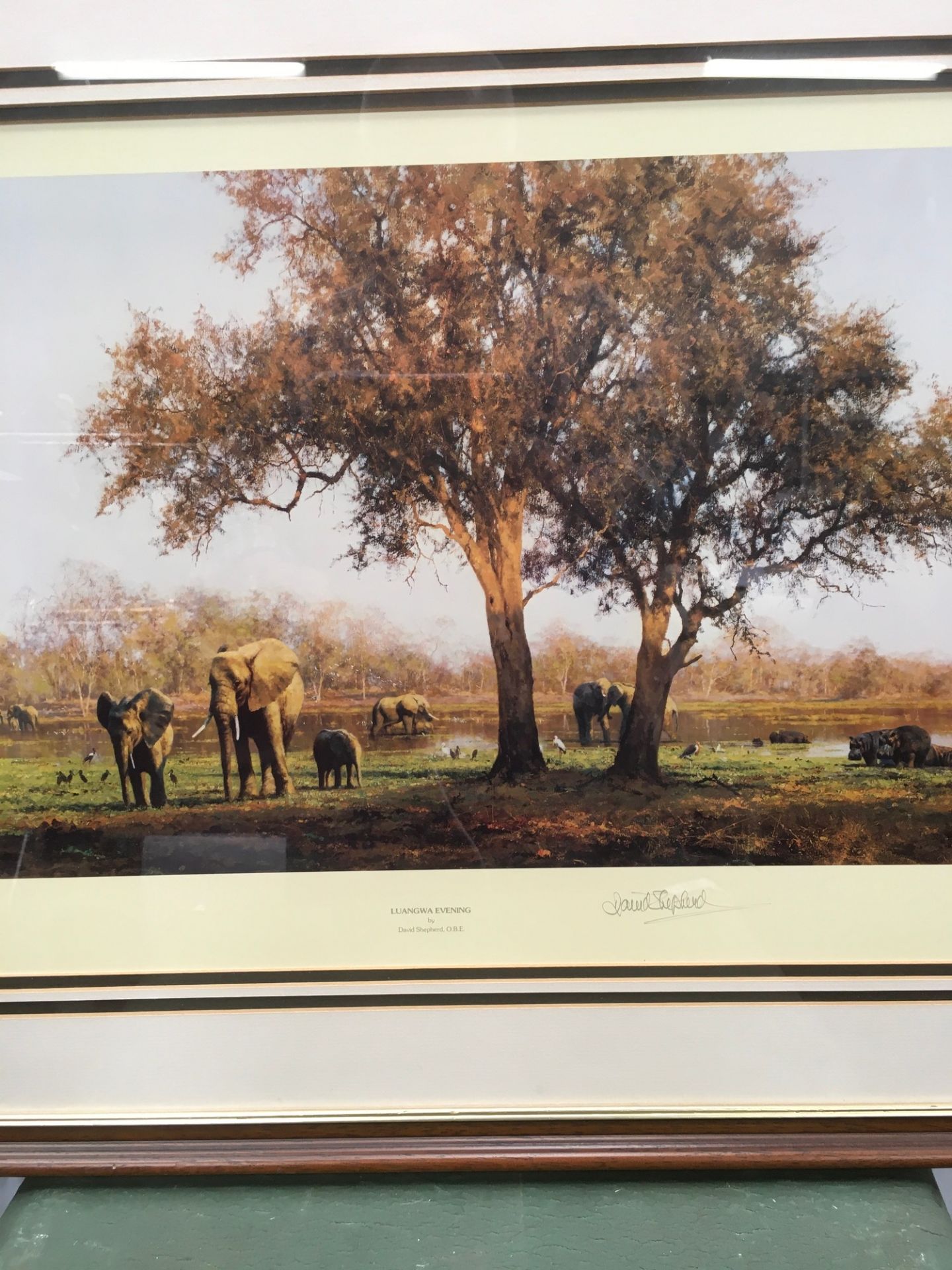 David Shepard ltd edition print "Luangwa Evening" signed to bottom no 1235/1500 with intented - Image 7 of 8