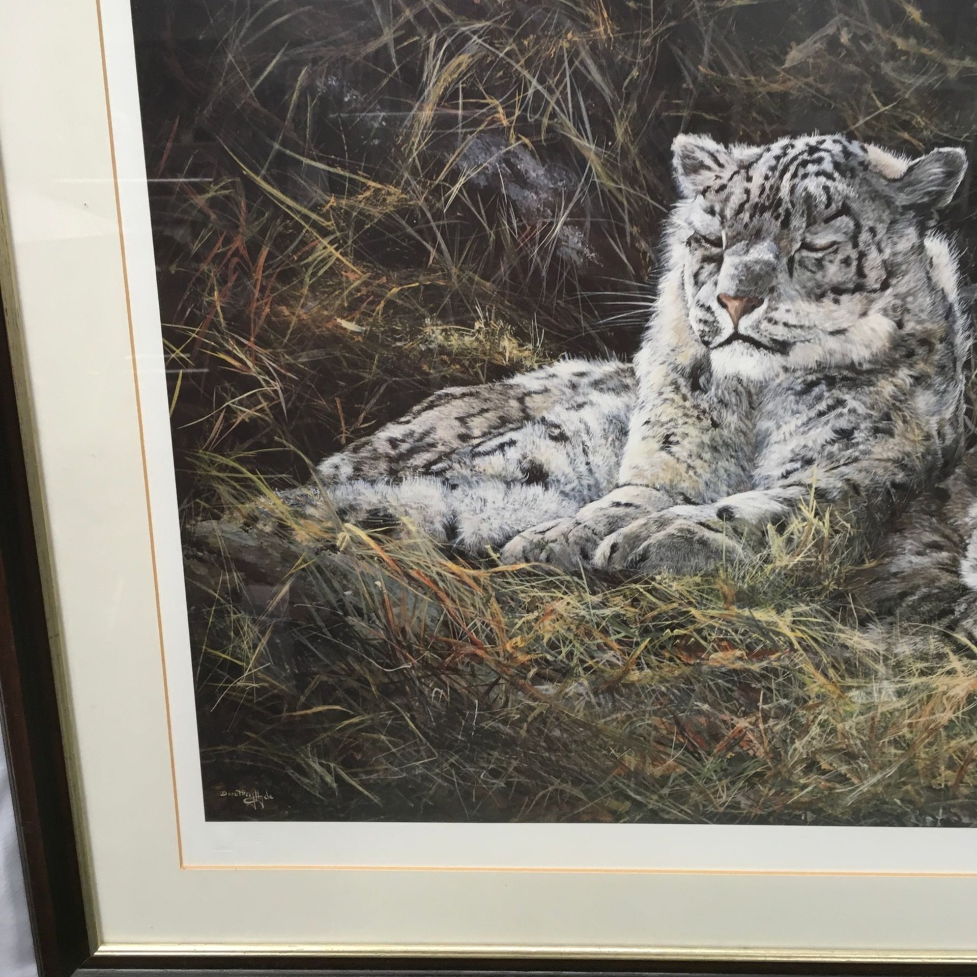 Dorothea Hyde ltd edition print "Watchful Leopards" &56/850 signed to bottom right with indented - Image 5 of 7