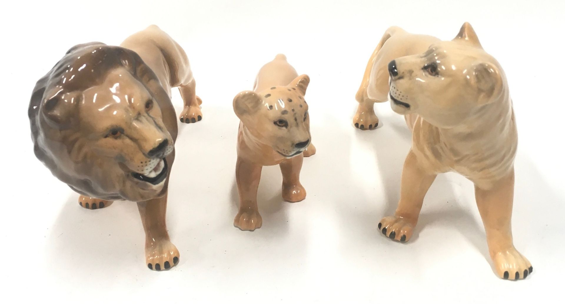 Beswick family of three lions the largest measuring 14x23x8cm. Overall in very good condition, no - Image 2 of 5