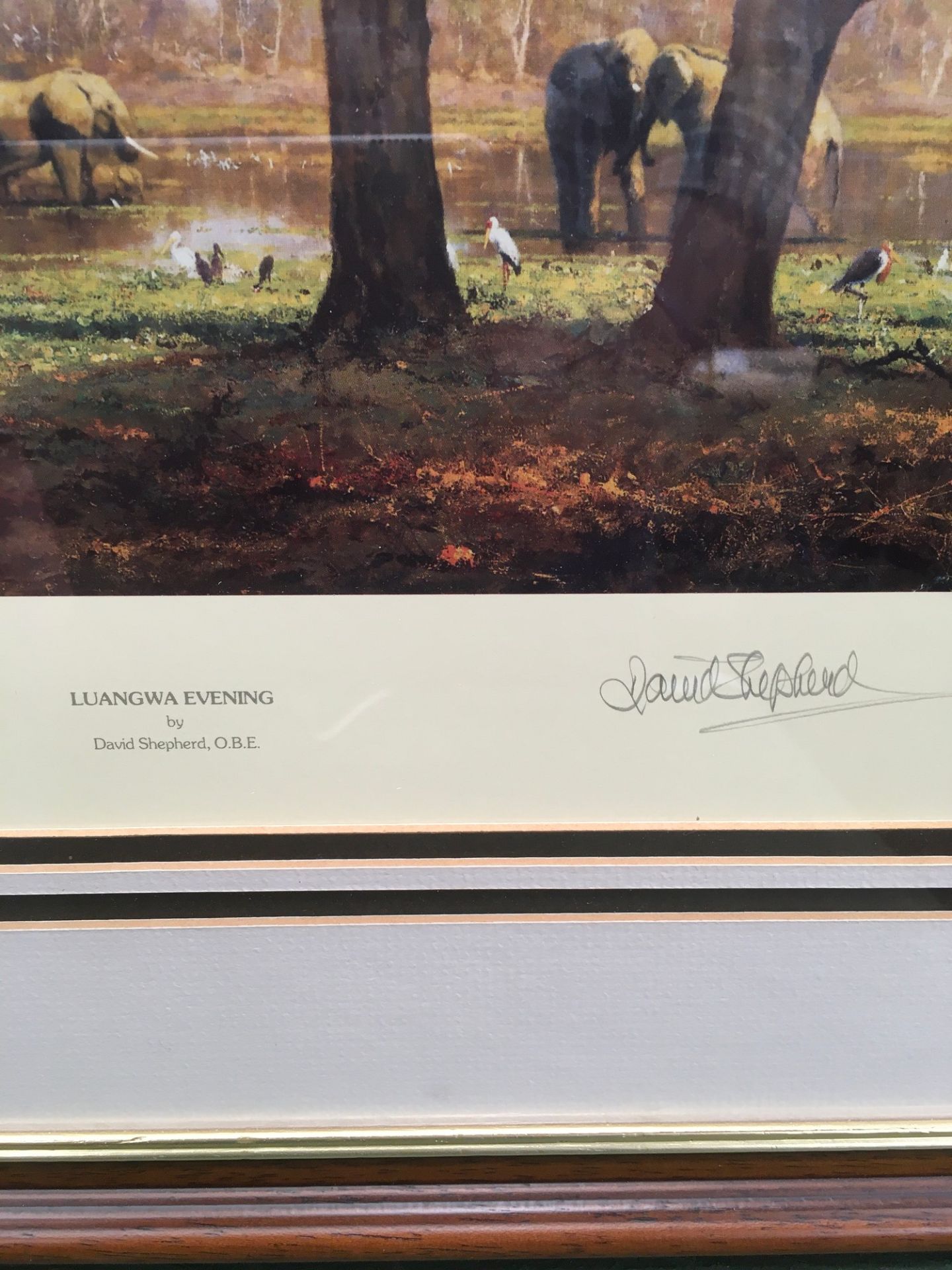 David Shepard ltd edition print "Luangwa Evening" signed to bottom no 1235/1500 with intented - Image 2 of 8