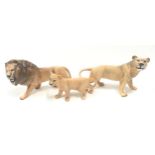 Beswick family of three lions the largest measuring 14x23x8cm. Overall in very good condition, no