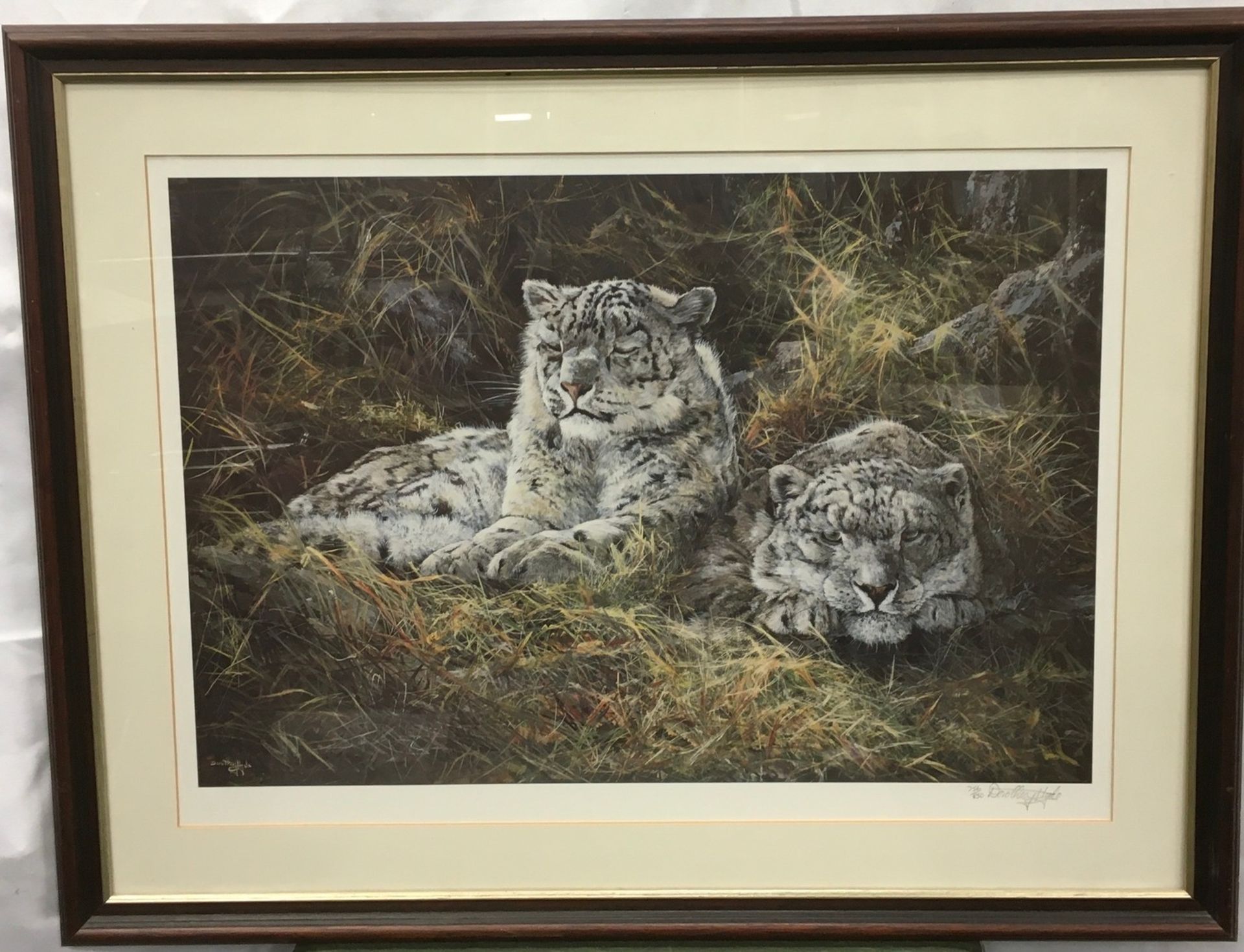 Dorothea Hyde ltd edition print "Watchful Leopards" &56/850 signed to bottom right with indented