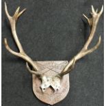 Scottish Antlers Skull and Shield dated 1959
