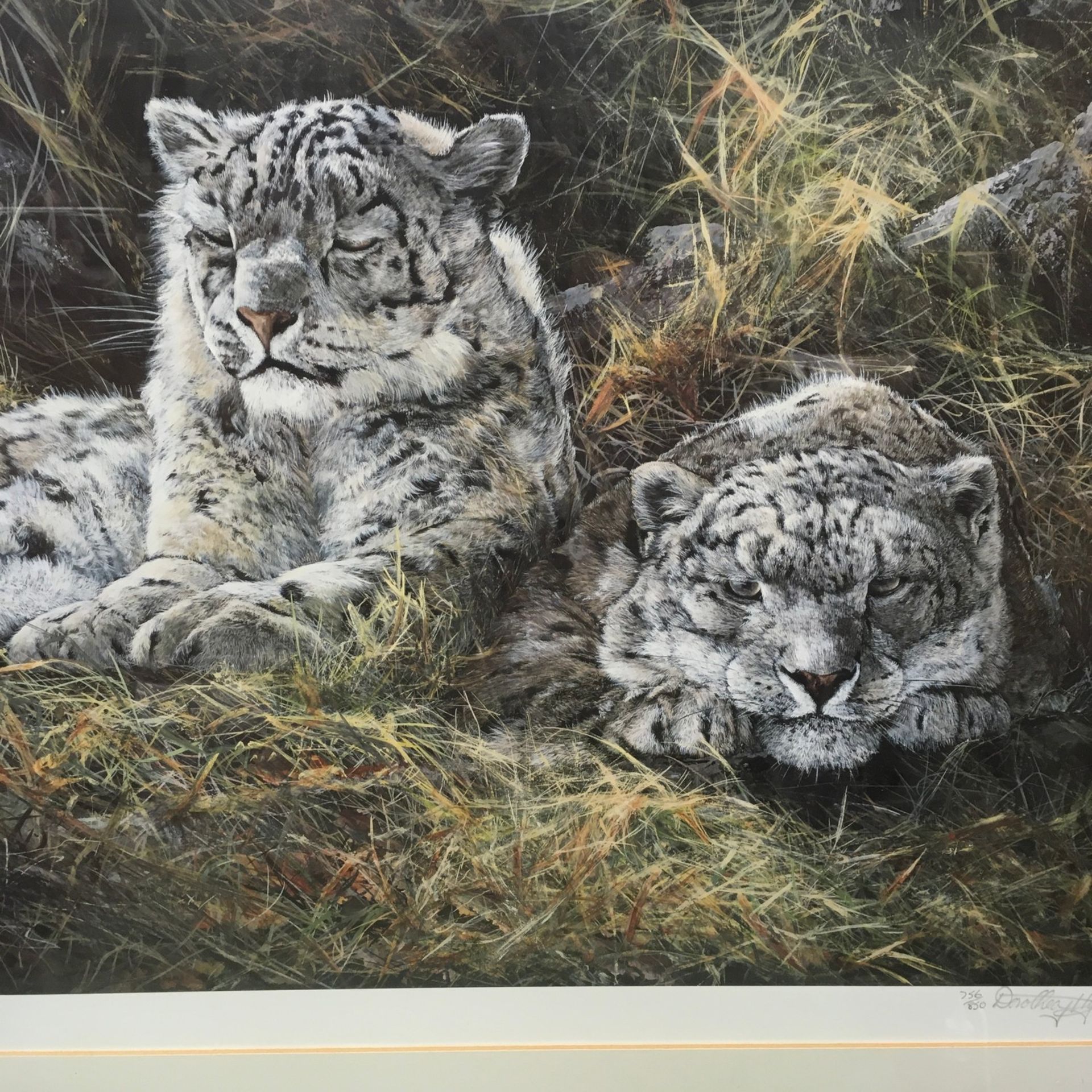 Dorothea Hyde ltd edition print "Watchful Leopards" &56/850 signed to bottom right with indented - Image 4 of 7