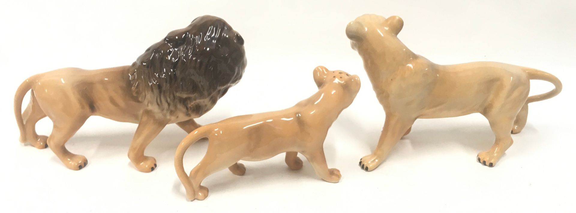 Beswick family of three lions the largest measuring 14x23x8cm. Overall in very good condition, no - Image 3 of 5