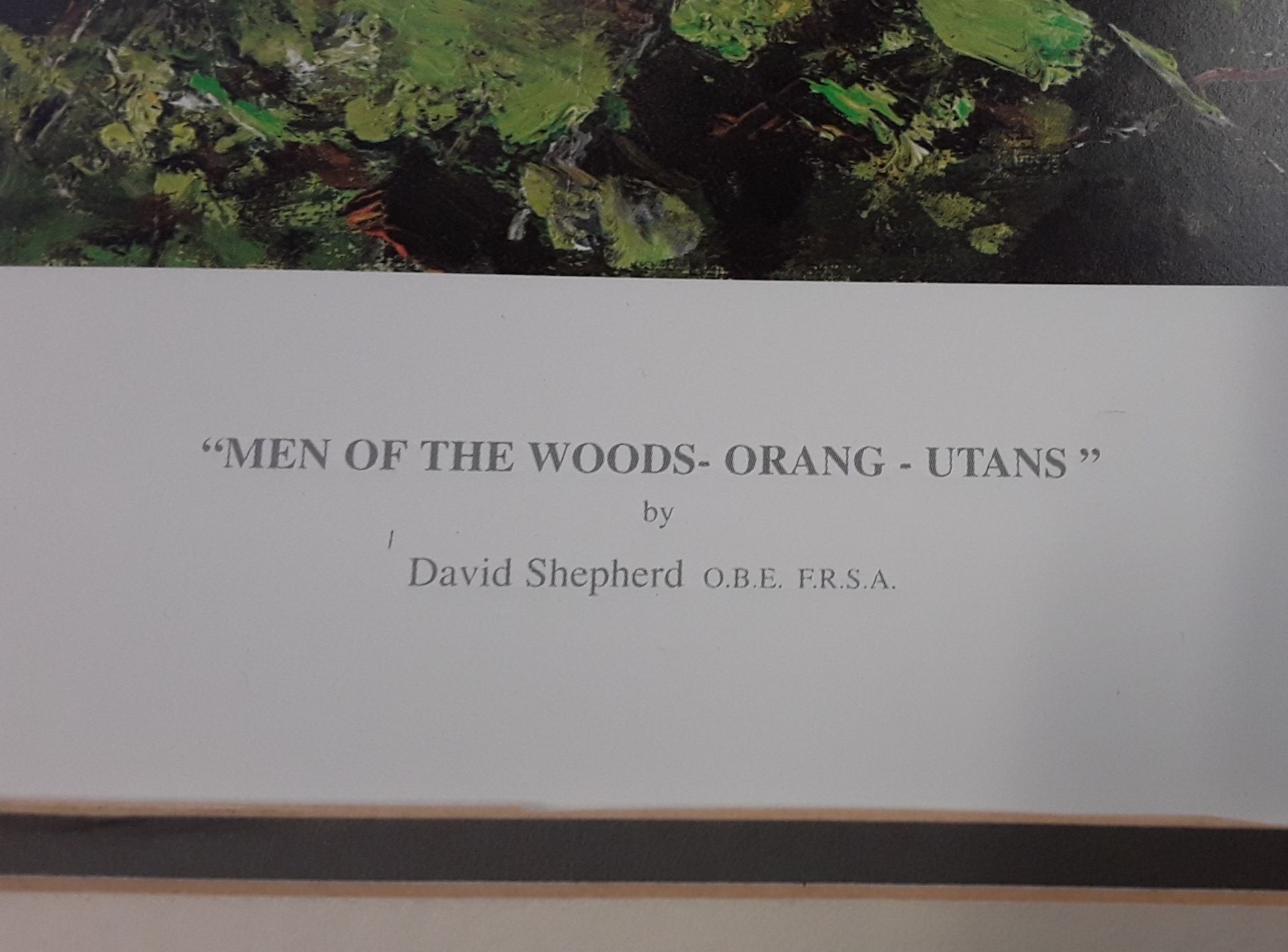 David Shepherd "Men of the Woods - Orang-Utans" embossed stamp Limited Edition 414/950, framed - Image 2 of 5