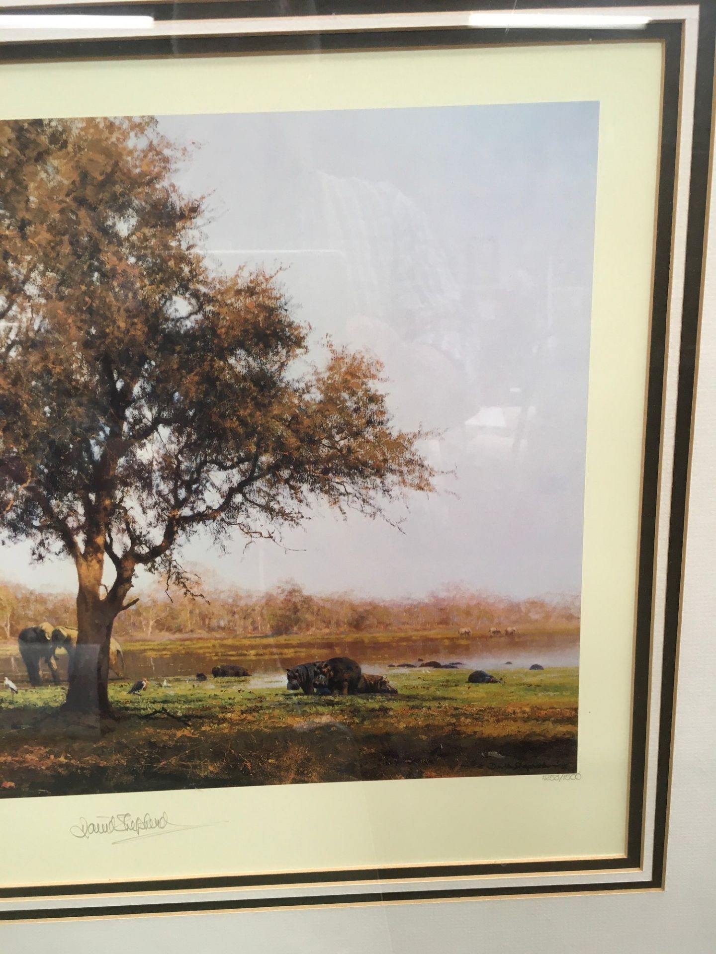 David Shepard ltd edition print "Luangwa Evening" signed to bottom no 1235/1500 with intented - Image 4 of 8