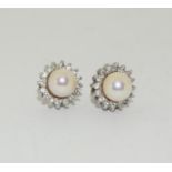 14ct White Gold Fresh Water Pearl & Diamond Earrings