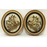 A pair of gilt framed and glazed oval shaped bird tapestries each 47cm x 40cm.