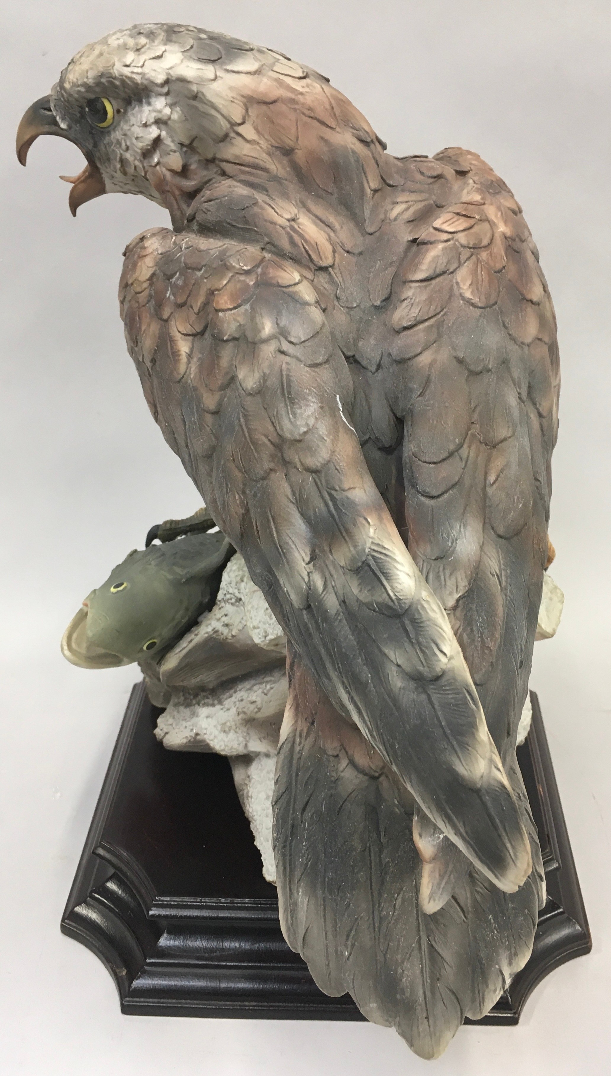 Bird of Prey model of a "Fish Hawk" on a wooden plinth by Viertasca Porcellaine D?Arte. Includes - Image 4 of 8