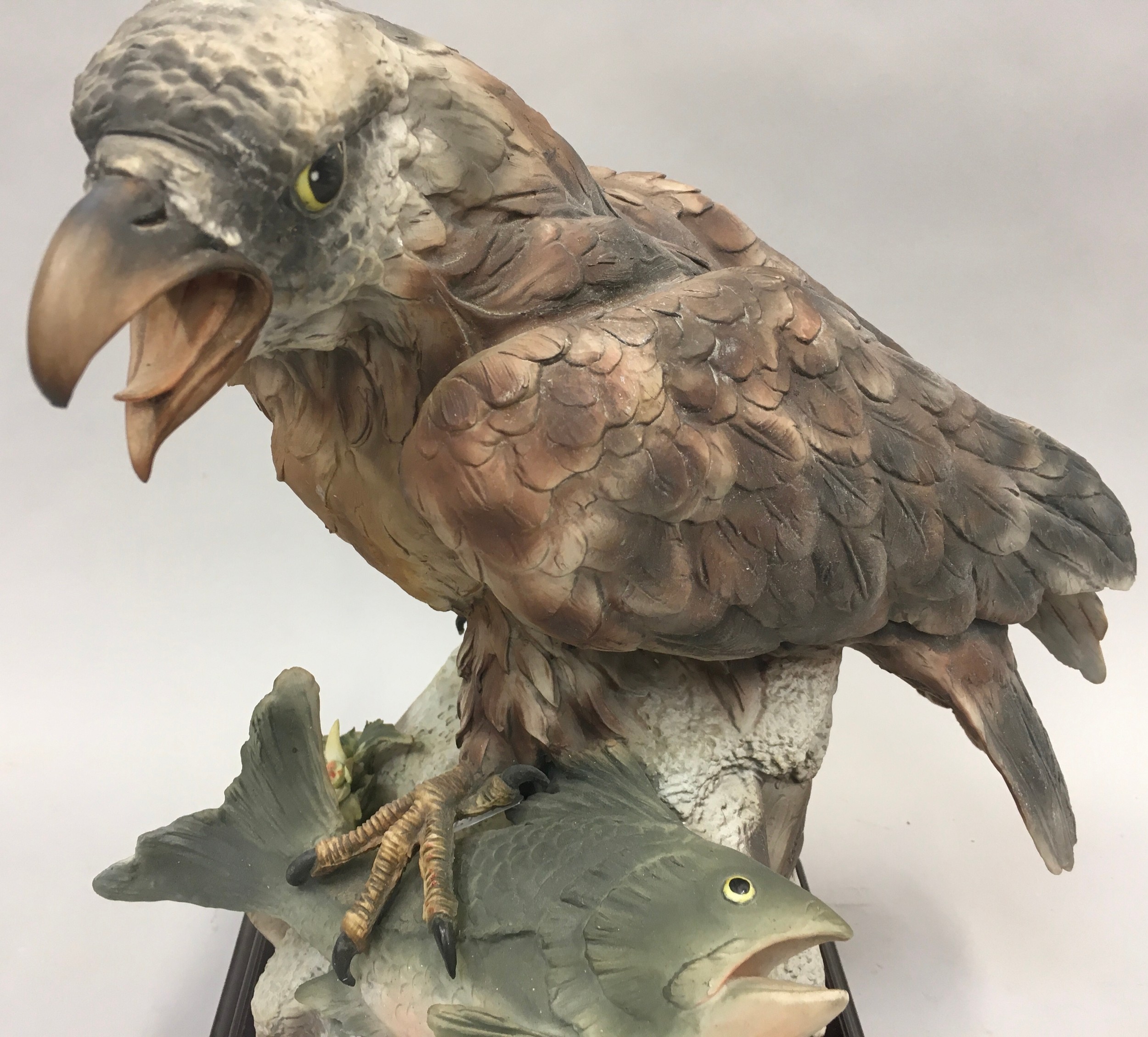 Bird of Prey model of a "Fish Hawk" on a wooden plinth by Viertasca Porcellaine D?Arte. Includes - Image 2 of 8