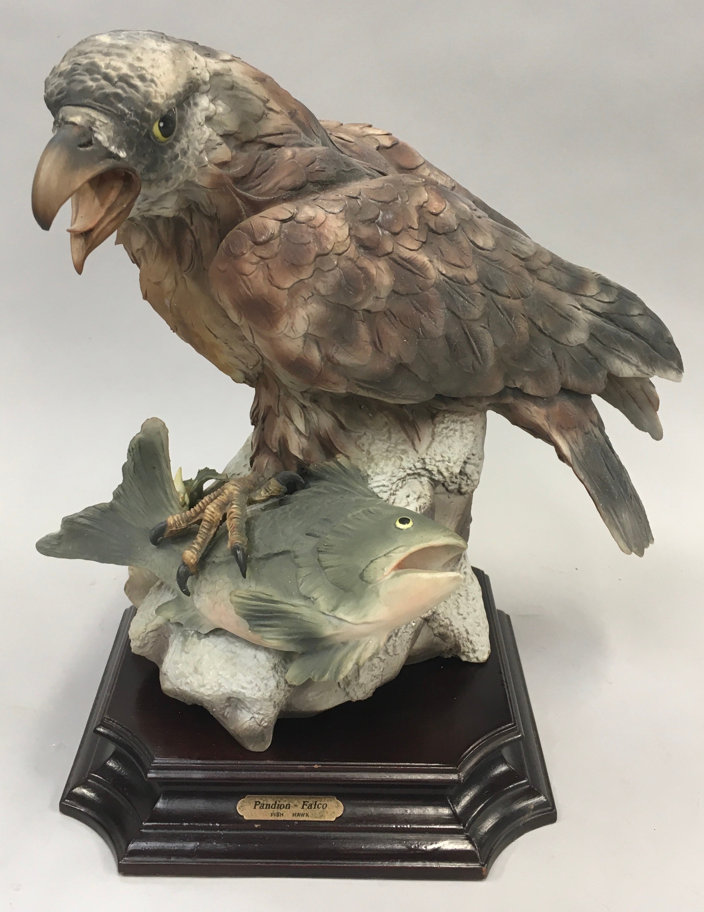 Bird of Prey model of a "Fish Hawk" on a wooden plinth by Viertasca Porcellaine D?Arte. Includes