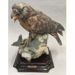 Bird of Prey model of a "Fish Hawk" on a wooden plinth by Viertasca Porcellaine D?Arte. Includes