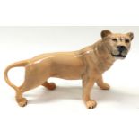 Beswick Lioness no 2097 1967-84 14x25x9cm.