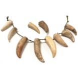 Collection of antique Polynesian taxidermy tooth necklace.