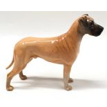 Beswick Great Dane dog "Ruler of Ouborough" 20x17cm