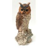 Long eared Owl 28cm tall.