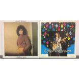 2 X MARC BOLAN (T-REX) LP VINYL RECORDS. On Marc Records we Have 'Mellow Love and T.Rex In Concert'.