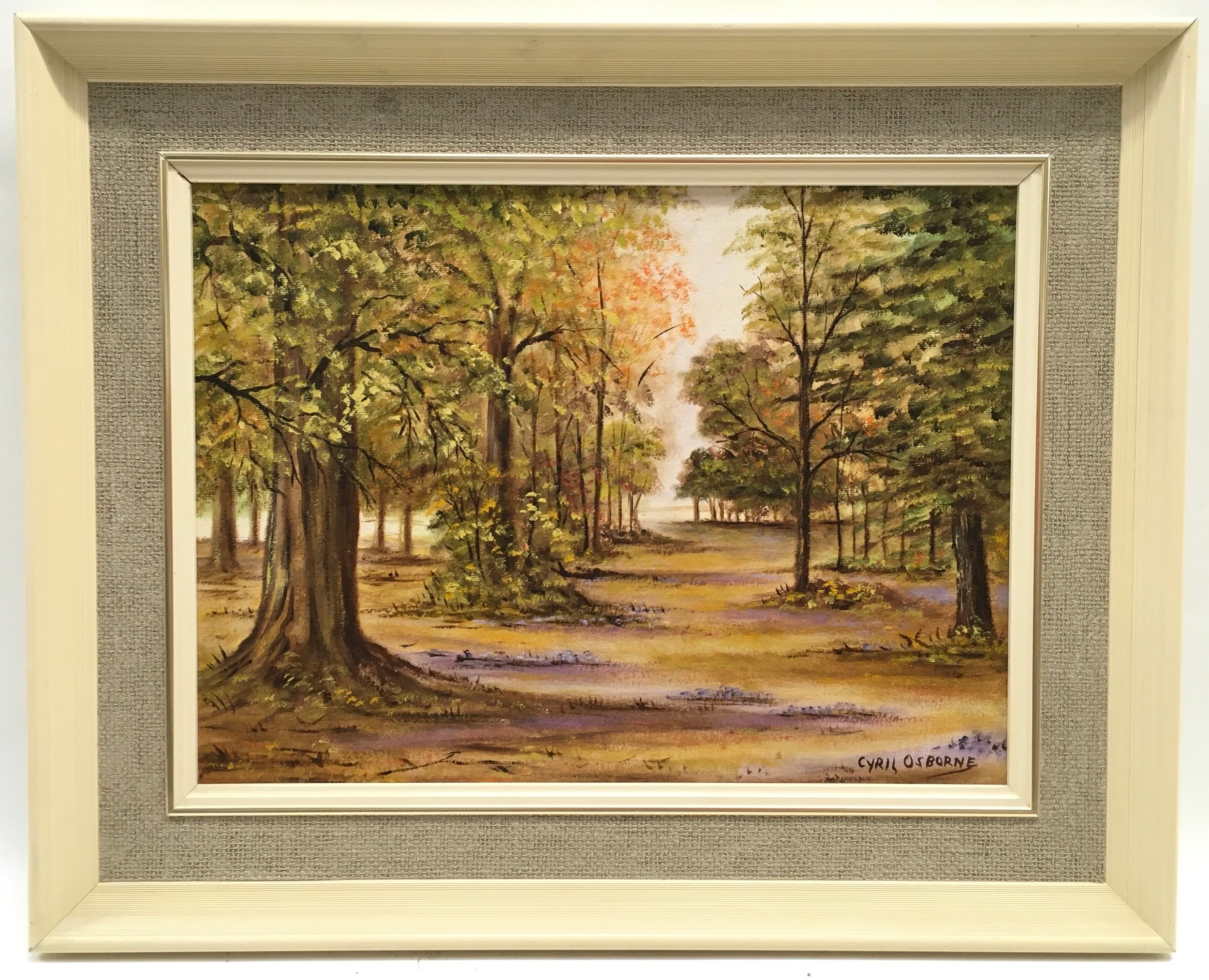 Cyril Osborne: Local artist framed oil on board of Bolderwood at The New Forest with signature to