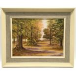 Cyril Osborne: Local artist framed oil on board of Bolderwood at The New Forest with signature to