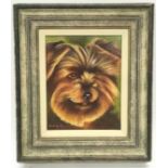 Terence (Terry) Grundy: Signed original oil on canvas of a terrier painted as a commission. The