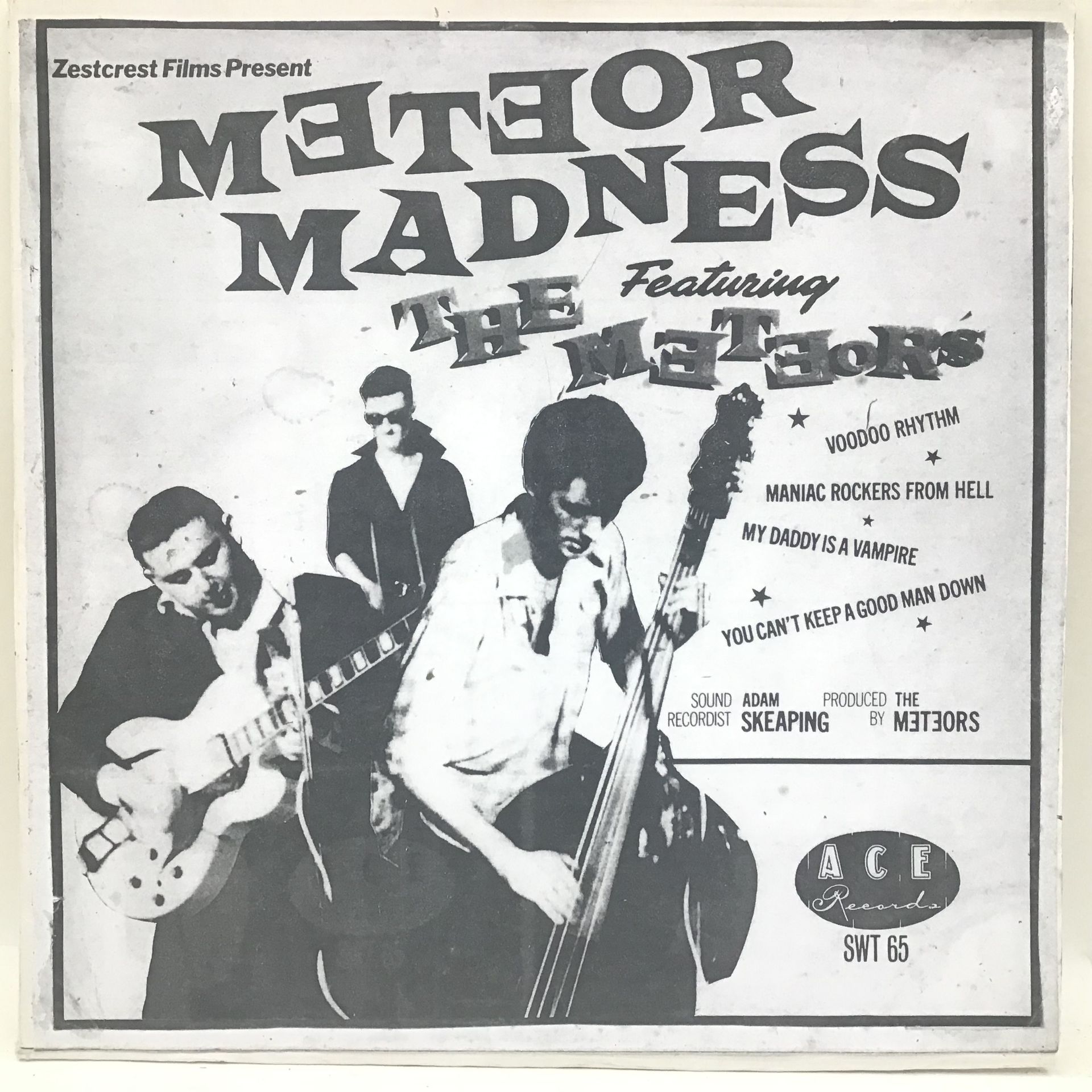METEOR MADNESS / THE METEORS 10" WHITE LABEL. I'm sure if you're looking at this you know exactly