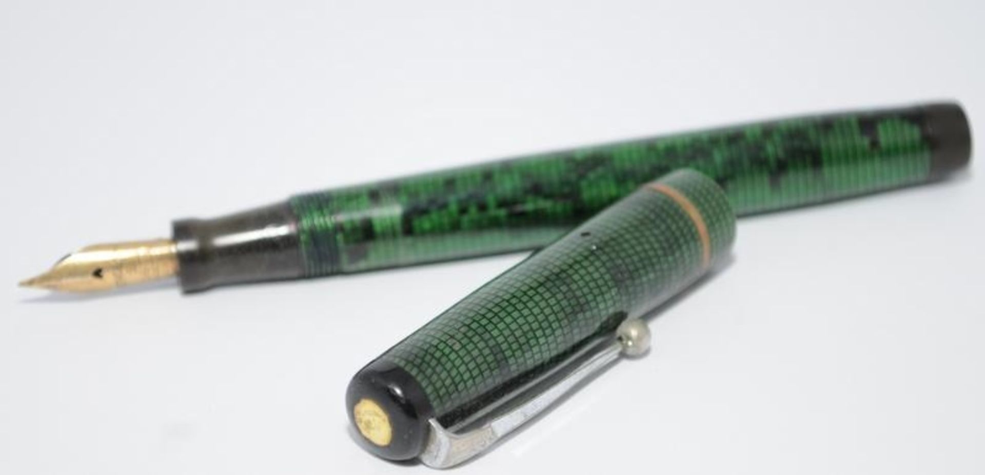 Swan L212/88 green lizard skin leverless fountain pen c/w Swan no.2 14ct nib. Ref.CBN379 - Image 2 of 5