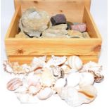 A quantity of fossils, minerals and sea shells