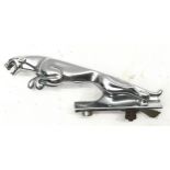 Vintage chrome Jaguar car mascot, 13cms across