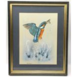 Poole Pottery interest framed print by Jane Brewer depicting a Kingfisher in flight 14" x 17.2".