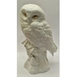 Poole Pottery golden-eye bone china white Barred Owl modelled by Barbara Linley-Adams 1995-1996,