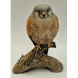 Poole Pottery studio outstanding model of a male kestrel by Jane Brewer fully marked & signed to