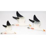 Set of three graduated Beswick seagull wall plaques, the largest being 25cms across