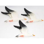 Set of three graduated Beswick seagull wall plaques, the largest being 25cms across