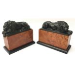 Pair of Vintage bronze Lions mounted on faux birds eye maple bases