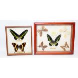Collection of framed butterflies. Seven in lot. Largest frame size 32cms x 26cms (32)