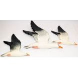 Three Beswick seagull wall plaques, one large and two small, the largest being 25cms across