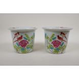 A pair of famille rose porcelain flower planters decorated with birds and chrysanthemum, Chinese 4