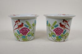A pair of famille rose porcelain flower planters decorated with birds and chrysanthemum, Chinese 4