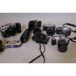 An Olympus OM10 35mm camera with Zuiko Zoom lens, Olympus OM30 with Macro lenses, Canon EO5 300,